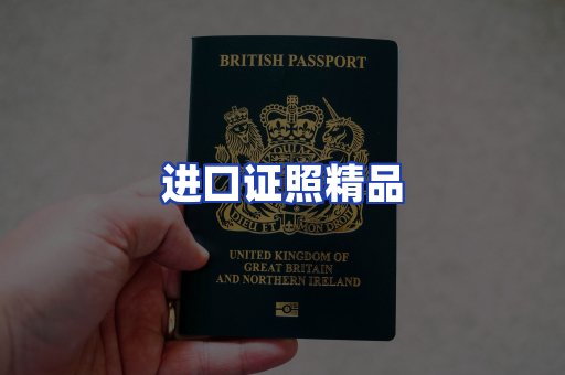 进口证件页面制证